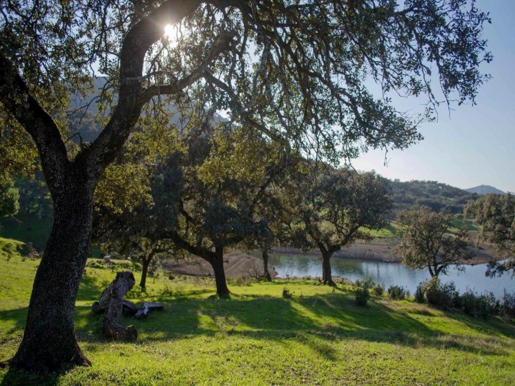 Finca La Vicaria Palomar Zufre Екстер'єр фото
